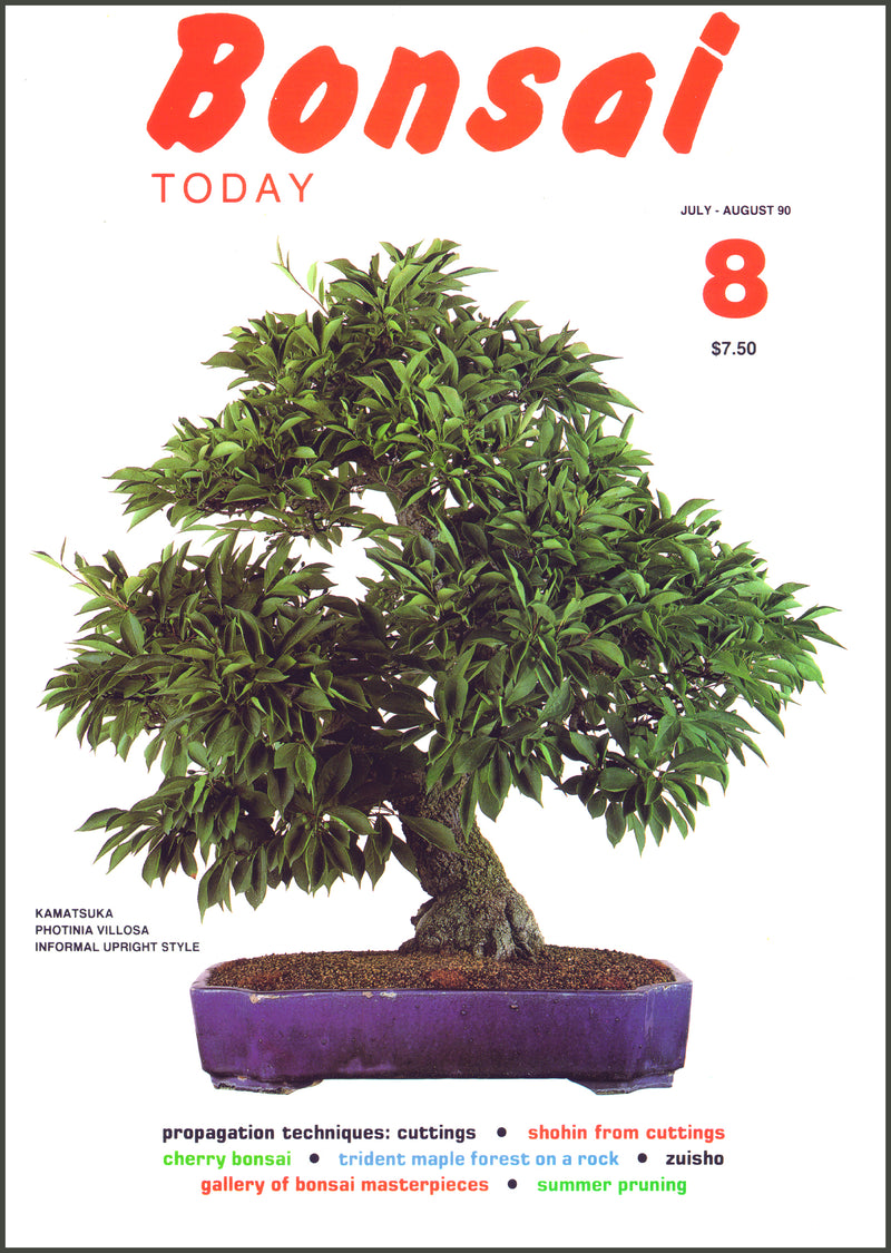 Bonsai Today 8 - Out of Print - Rare