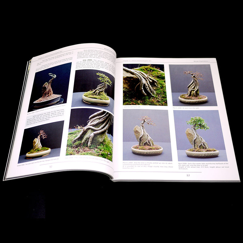 Bonsai Inspirations 1 by Harry Harrington - Rare, Only A Few Left