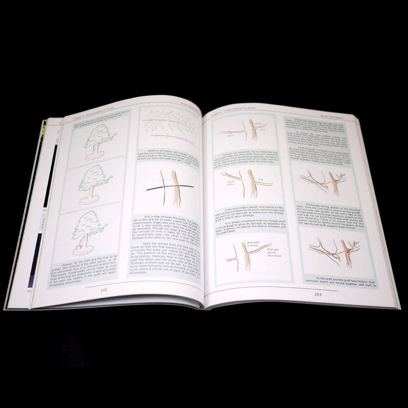Bonsai Inspirations 1 by Harry Harrington - Rare, Only A Few Left