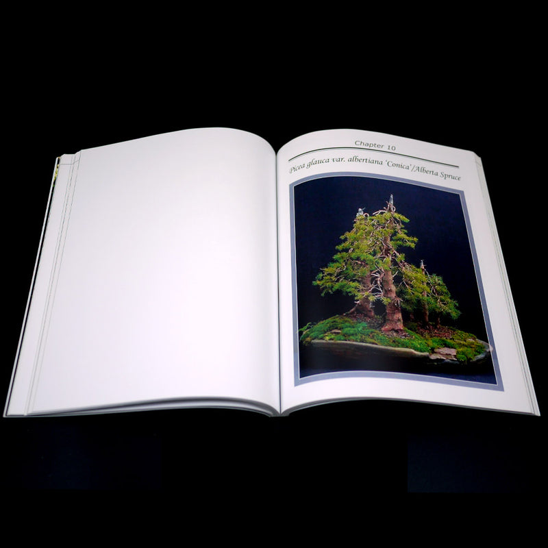 Bonsai Inspirations 1 by Harry Harrington - Rare, Only A Few Left