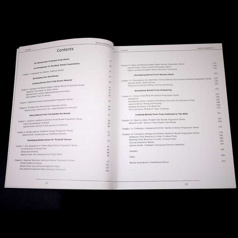 Bonsai Inspirations 1 by Harry Harrington - Rare, Only A Few Left