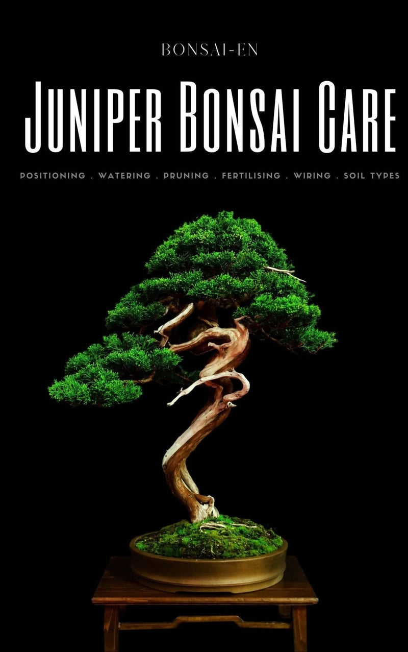 Juniper Bonsai Care eBook