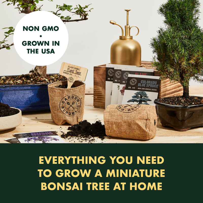 Garden Republic Bonsai Seed Starter Kit - Grow 4 Mini Bonsai Trees, Indoor Plant Growing Kit - Bonsai Starter Kit with Bonsai Seeds, Soil, Planters & Shears