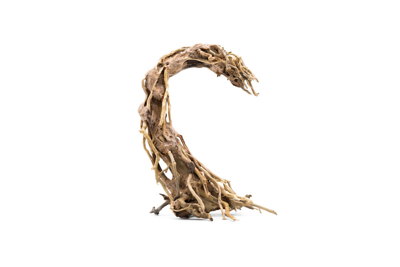 Crescent Shaped Bonsai Tree Aquarium Driftwood