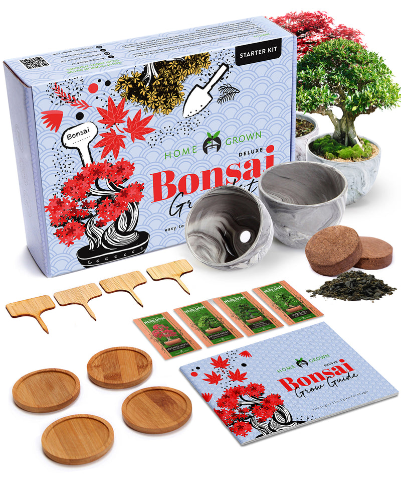 Deluxe Bonsai Tree Grow Kit