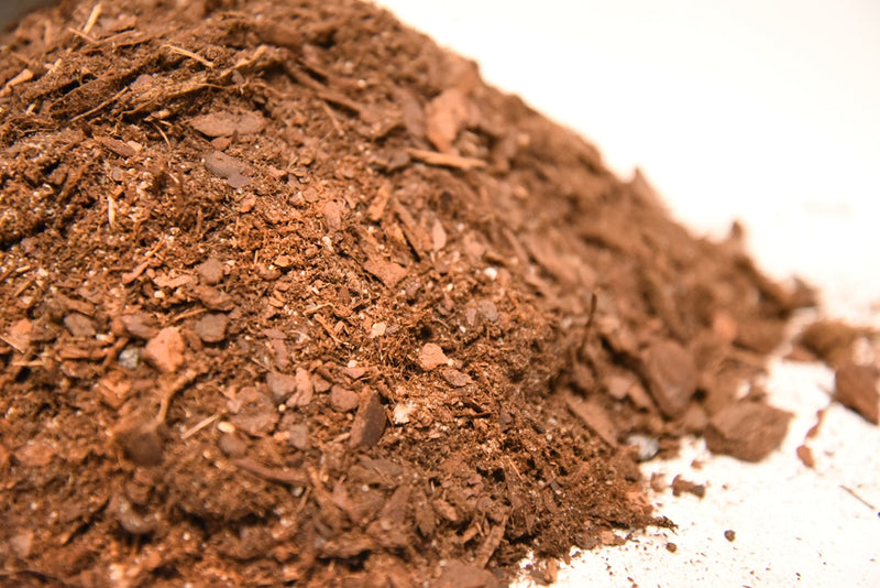 Bonsai Soil