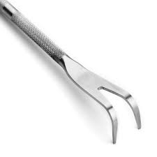 Roshi 2 Prong Stainless Root Rake