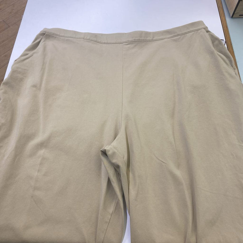 LL Bean pull on pants 2X