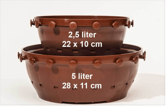 Small Tie Pots for Growing Bonsai - 5 Pack
