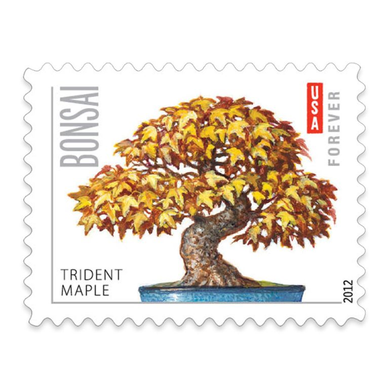 First Class Postage Stamps Bonsai Trees (5 Sheets of 20)