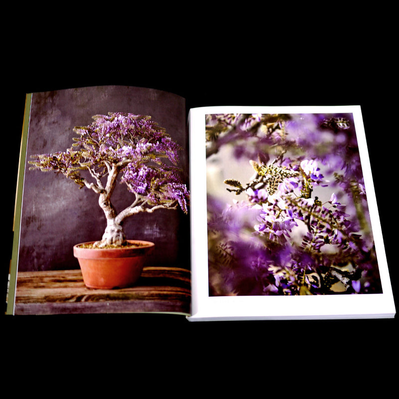 The Essential Bonsai Book by Jonas Dupuich