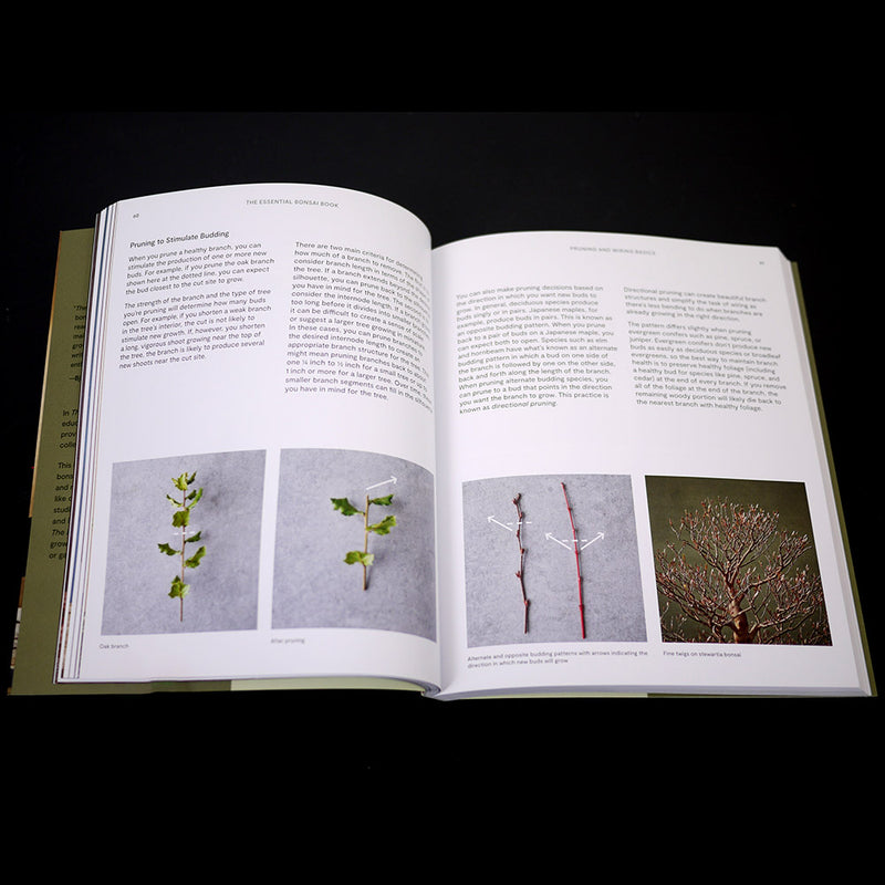 The Essential Bonsai Book by Jonas Dupuich