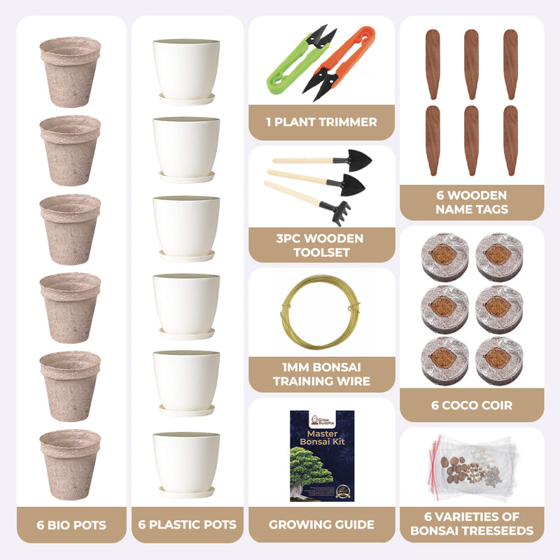 Master Bonsai Starter Kit - Grow Your Own Bonsai Trees