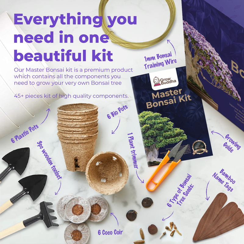 Master Bonsai Starter Kit - Grow Your Own Bonsai Trees