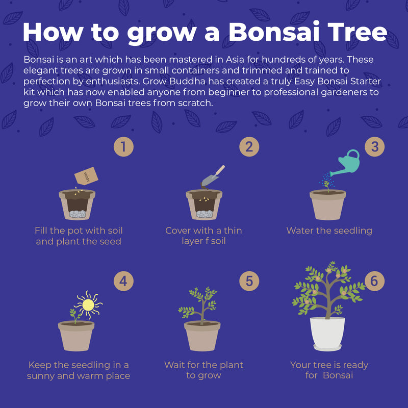 Master Bonsai Starter Kit - Grow Your Own Bonsai Trees