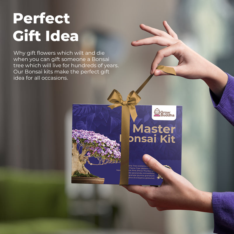 Master Bonsai Starter Kit - Grow Your Own Bonsai Trees