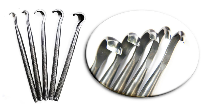 Roshi Stainless Steel Bonsai Carving Set - 5 Piece