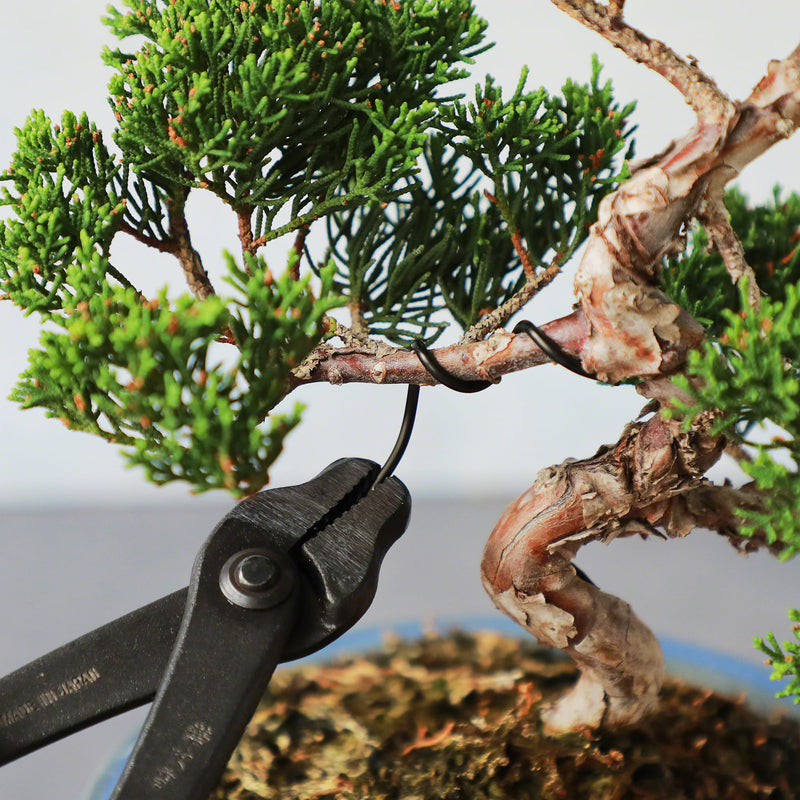 Black Aluminum Bonsai Training Wire 150g, 1mm - 6mm