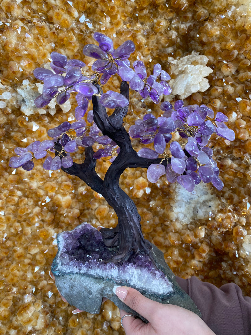 Amethyst Bonsai Tree- XLarge