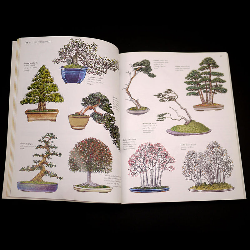 Bonsai Survival Manual by Colin Lewis - Out of Print