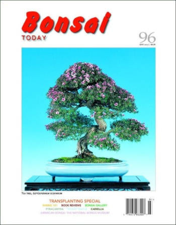 Bonsai Today 96 -  Limited Issues Left In Stock